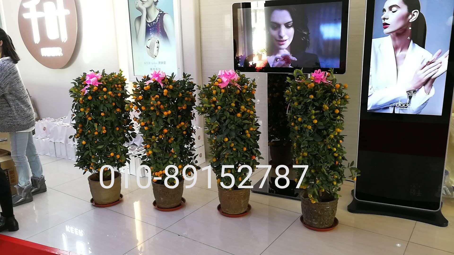 千叶珠宝股份公司